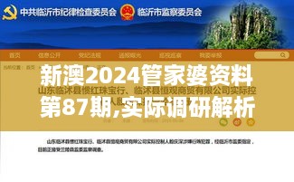 新澳2024管家婆资料第87期,实际调研解析_家居版DIJ49.202