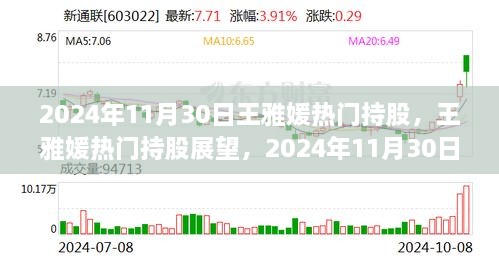王雅媛热门持股展望，2024年11月30日的投资视角分析