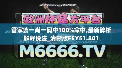 管家婆一肖一码中100%命中,最新碎析解释说法_清晰版FEY51.801