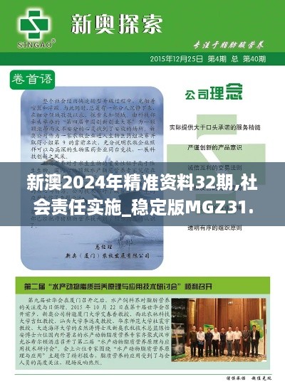 新澳2024年精准资料32期,社会责任实施_稳定版MGZ31.429