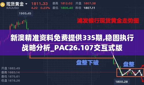 新澳精准资料免费提供335期,稳固执行战略分析_PAC26.107交互式版