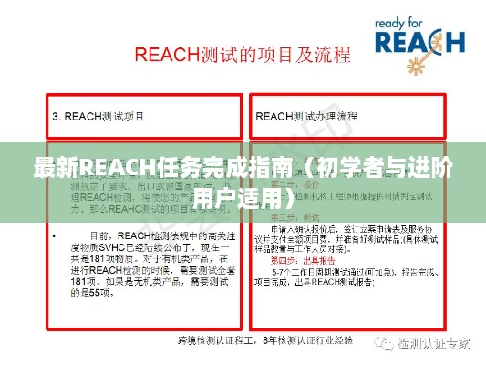 REACH任务完成指南，从初学者到进阶用户的实用指南