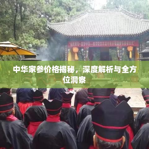 中华家参价格揭秘，深度解析与全方位洞察