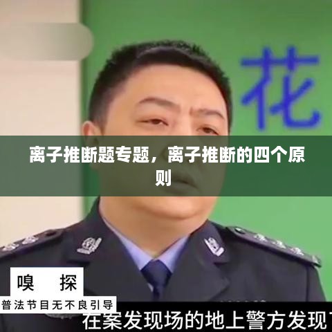 离子推断题专题，离子推断的四个原则 