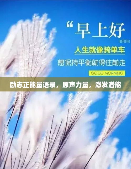 励志正能量语录，原声力量，激发潜能