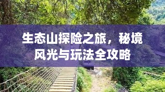 生态山探险之旅，秘境风光与玩法全攻略