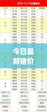 今日最新猪价资讯汇总表