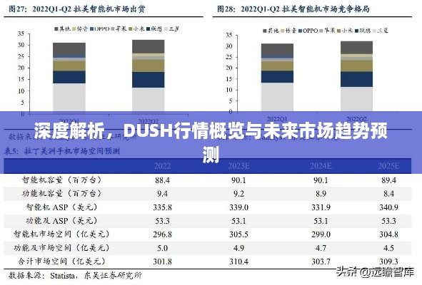 深度解析，DUSH行情概览与未来市场趋势预测