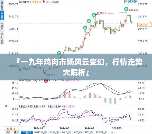『一九年鸡肉市场风云变幻，行情走势大解析』