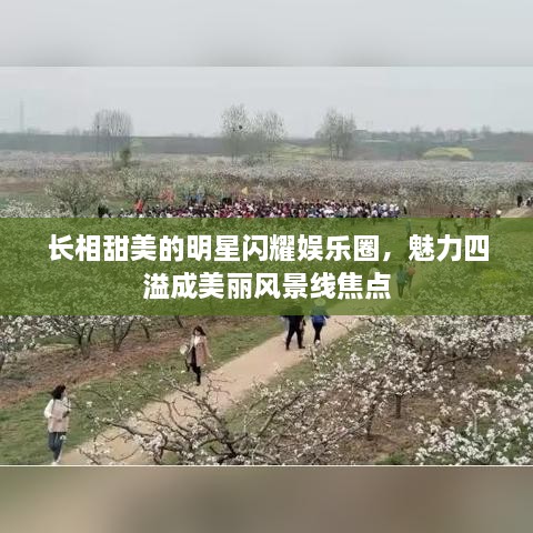 长相甜美的明星闪耀娱乐圈，魅力四溢成美丽风景线焦点