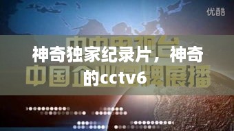 神奇独家纪录片，神奇的cctv6 