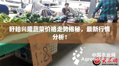 盱眙兴隆蔬菜价格走势揭秘，最新行情分析！