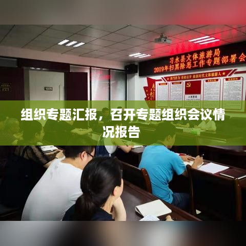 组织专题汇报，召开专题组织会议情况报告 